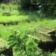 Byans sur le Doubs-lavoir 3