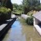 CÃ©ly en Seine et Marne-lavoir 1 par AndrÃ©e et Bernard Hamelin