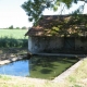 Montolivet-lavoir 2 dans hameau Chalendon