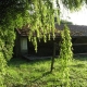 MigÃ©-lavoir 3 dans hameau Nanteau