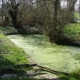 Pourrain-lavoir 1 dans hameau Les Bonnaults