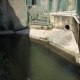 Grillon dans le Vaucluse-lavoir 2 par Jean Pierre EyssÃ©ric