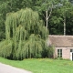 Gumery-lavoir 2 dans hameau Cercy