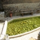 Siorac de Riberac en Dordogne-lavoir 1 par Doris