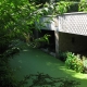 Saint Benoit sur Loire-lavoir 3