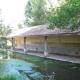 Narcy-lavoir 1
