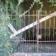 Marolles lÃ¨s Bailly-lavoir 2