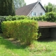 Jaignes-lavoir dans hameau Torchamps