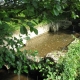 Chavannes les Grands-lavoir 1