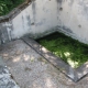 Igornay-lavoir dans hameau Rozereuille