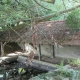 Ourouer-lavoir 3 dans hameau Cognan