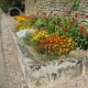 Rougeux-lavoir 2