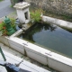 L'Etoile-lavoir 2 dans le bourg