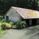 Thoury Ferotte-lavoir 3 dans hameau Bichereau