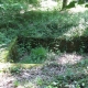 Semur en Brionnais-lavoir 4 dans hameau La Touche