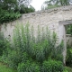 Versigny-lavoir dans hameau Droizelles