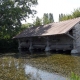 Villeneuve les Bordes en Seine et Marne par Nadine