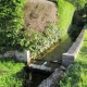 Cerre les Noroy-lavoir 2