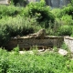 Oricourt-lavoir 3