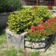 Saulnot-lavoir 7 dans hameau Gonvillars