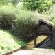 Neauphle le Vieux-lavoir 1 dans le bourg