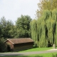 Nogent sur Eure-lavoir 1 dans le bourg