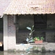 Saint Georges sur l'Eure-lavoir 5 dans le bourg