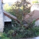 Baslieux les Fismes-lavoir 3