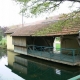 BonzÃ©e dans la Meuse-lavoir 1 dans le bourg par Micheline et Paul