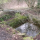 Saint Saturnin dans le Cher-lavoir du hameau de Tessonnes par Julien Calmeilles