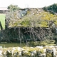 TrÃ©fols dans  la Marne-lavoir dans hameau Les Rouillis par Micheline et Paul