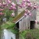 Venizy-lavoir 5 dans le bourg