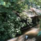 Saint Arnoult en Yvelines-lavoir 2 dans le bourg