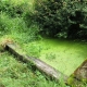 Savianges-lavoir 2 dans hameau Quintry