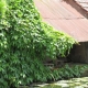 Saint Calais-lavoir 16