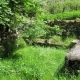 Planchez-lavoir 3 dans hameau Boutenot