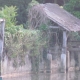 Beaumont sur Sarthe-lavoir 2