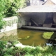 MontignÃ© les Rairies en Maine et Loire-lavoir 1 par Patrice Coutaud