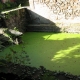 Champtoceaux en Maine et Loire-lavoir 1 par Patrice Coutaud