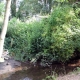 Allonnes en Maine et Loire-lavoir 2 dans hameau Le Moulin TÃ©tard par Patrice Coutaud