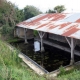 Ambillou Chateau en Maine et Loire-lavoir 3 par Patrice Coutaud