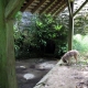 ChevirÃ© le Rouge en Maine et Loire-lavoir 2 dans hameau La Butte par Patrice Coutaud