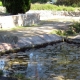 Rou Marson en Maine et Loire-lavoir 2 dans le bourg par Patrice Coutaud