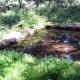 Rou Marson en Maine et Loire-lavoir 5 dans hameau Fontaine Godebert par Patrice Coutaud