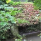 Saint Cyr sous Dourdan-lavoir 4 dans hameau Banville