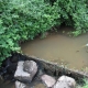 Le Rousset-lavoir 1 dans hameau Noireux