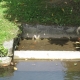 Bourgueil-lavoir 2