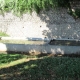 DÃ´le-lavoir 2 dans le hameau Arans