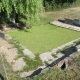 Chateau sur Allier-lavoir du hameau Carobe