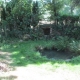 Mazirat-lavoir du hameau FrÃ©defont